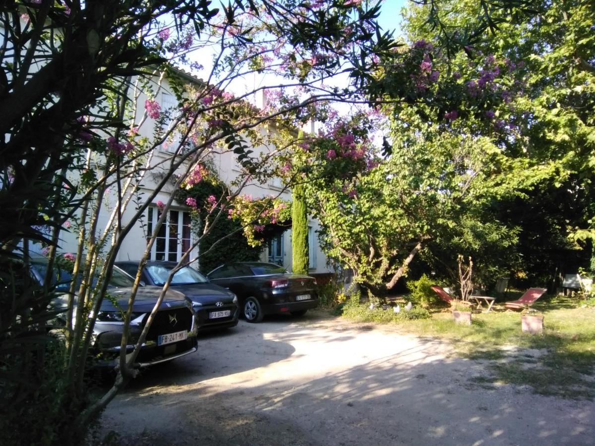 Le Petit Palais Maisonnette Aparthotel อาวีญง ภายนอก รูปภาพ
